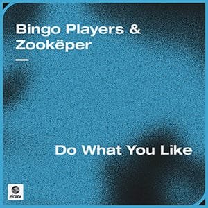 Bingo Players & Zookëper - Do What You Like - Pontik radio
