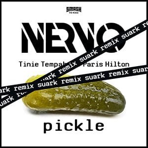 Pickle Suark Remix - Pontik radio