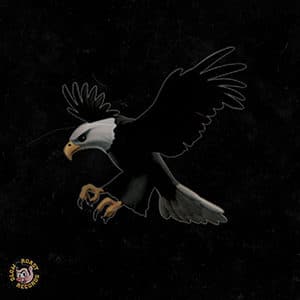 Bailo – “Eagle VZN” - Pontik® Radio
