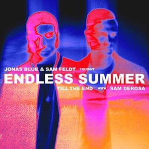 Endless Summer - Till The End (feat Sam DeRosa) - Pontik® Radio 