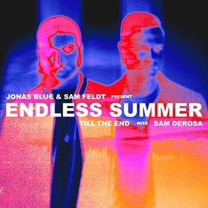 Endless Summer - Till The End (feat Sam DeRosa) - Pontik® Radio